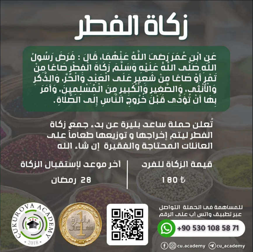 صورة النشاط