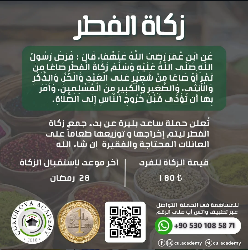 صورة النشاط